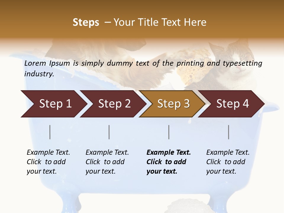 White Background Copy Space Basin PowerPoint Template