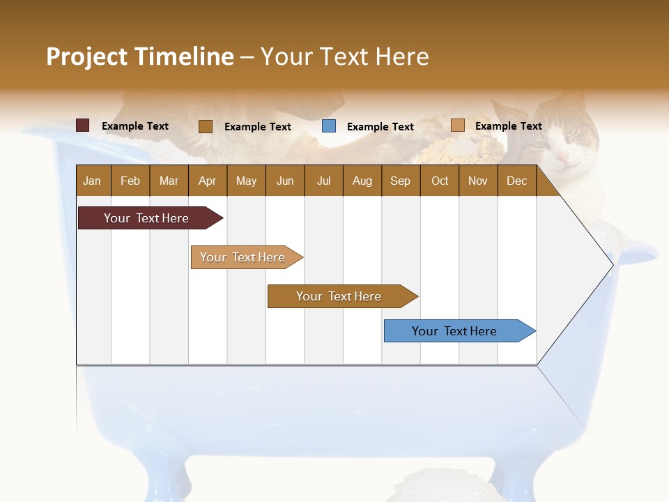 White Background Copy Space Basin PowerPoint Template