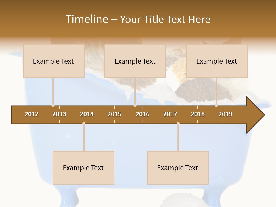 White Background Copy Space Basin PowerPoint Template