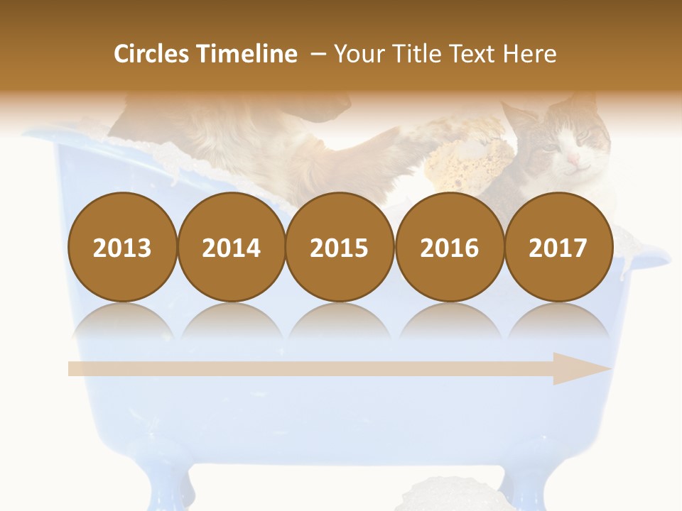 White Background Copy Space Basin PowerPoint Template