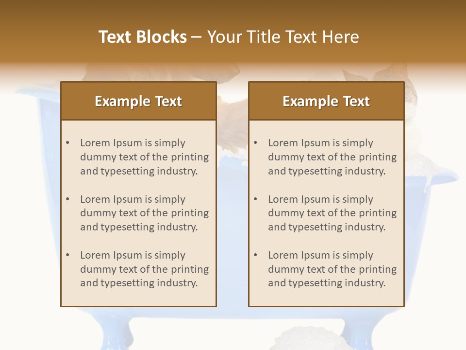 White Background Copy Space Basin PowerPoint Template