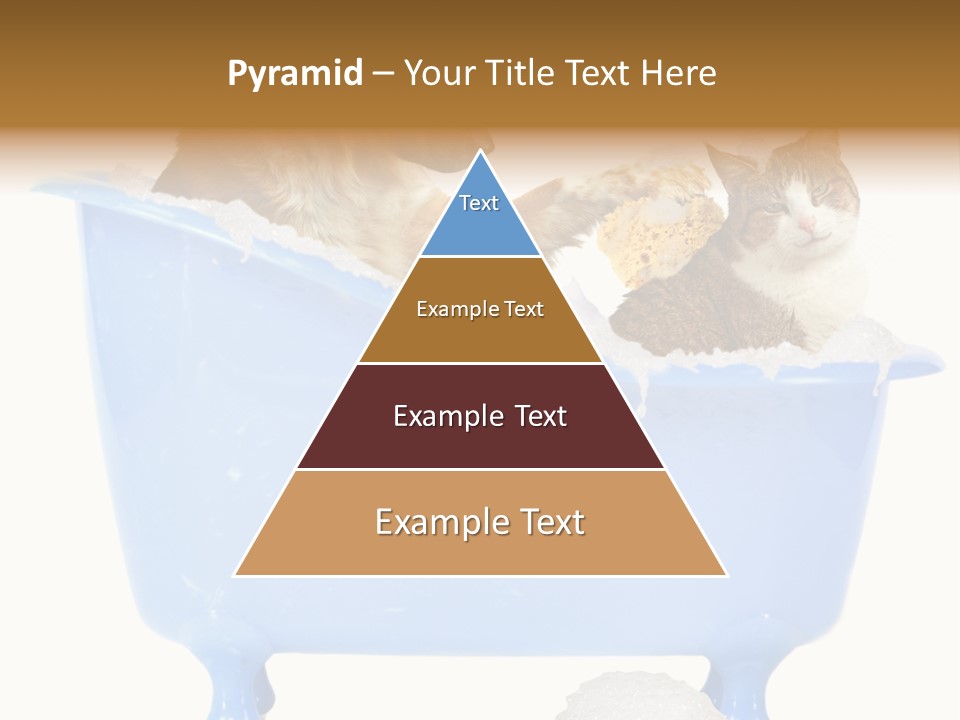 White Background Copy Space Basin PowerPoint Template