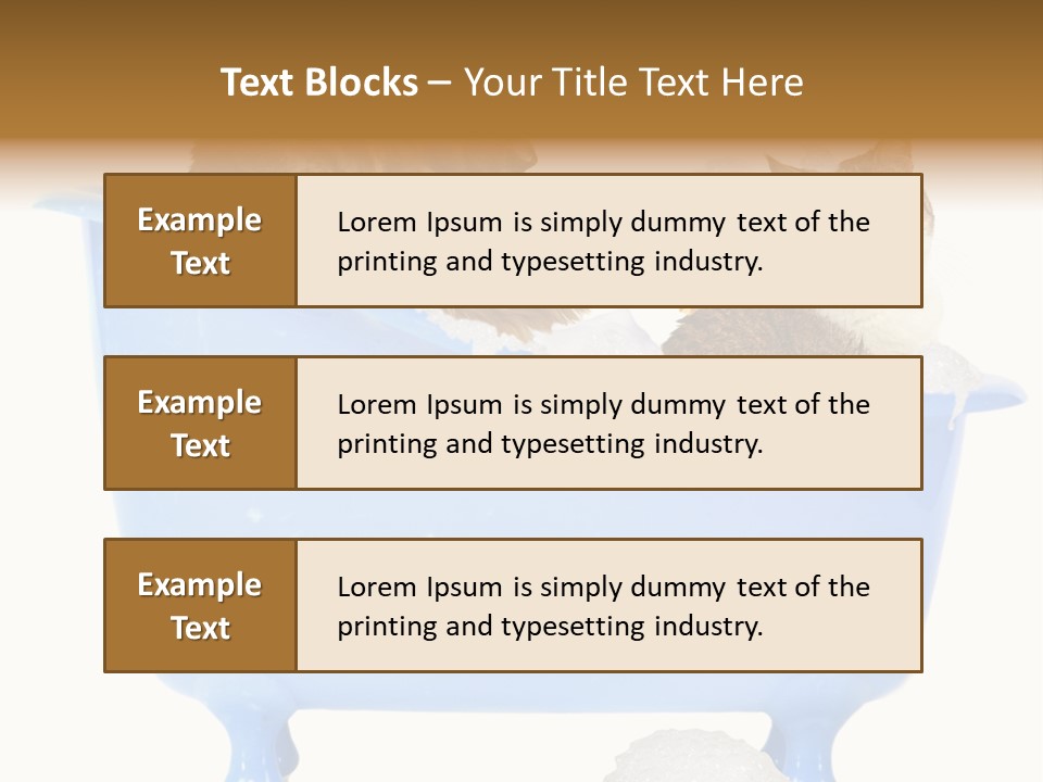 White Background Copy Space Basin PowerPoint Template