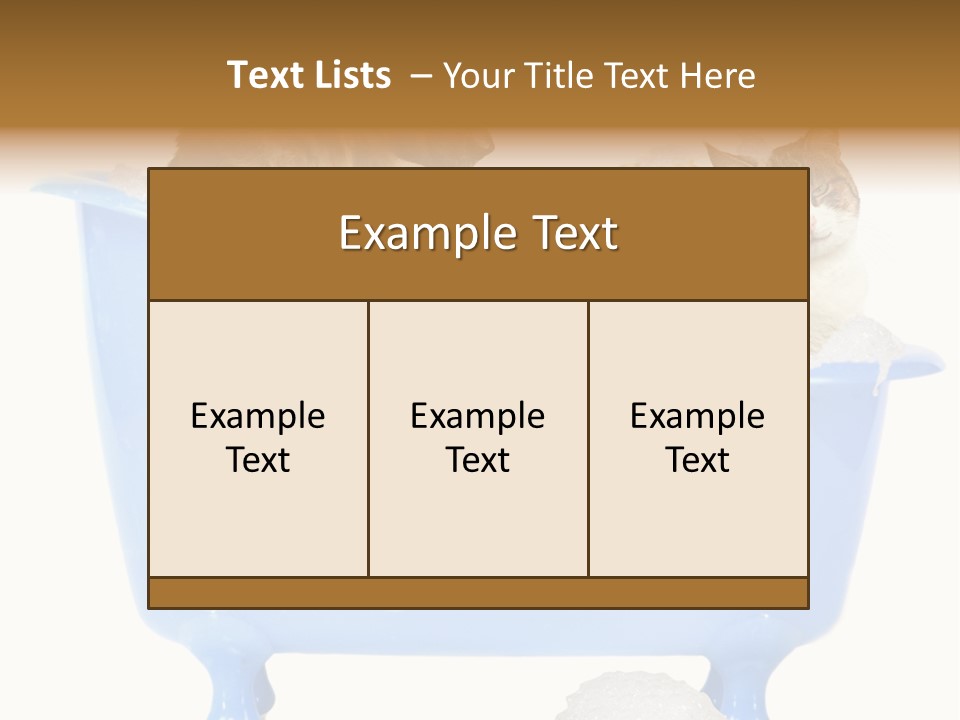 White Background Copy Space Basin PowerPoint Template