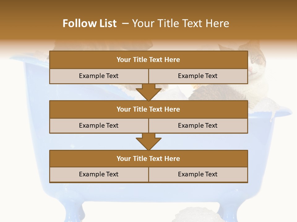 White Background Copy Space Basin PowerPoint Template