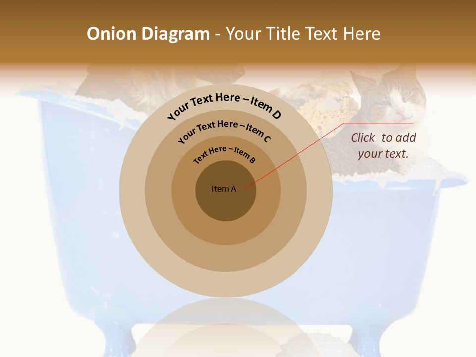 White Background Copy Space Basin PowerPoint Template