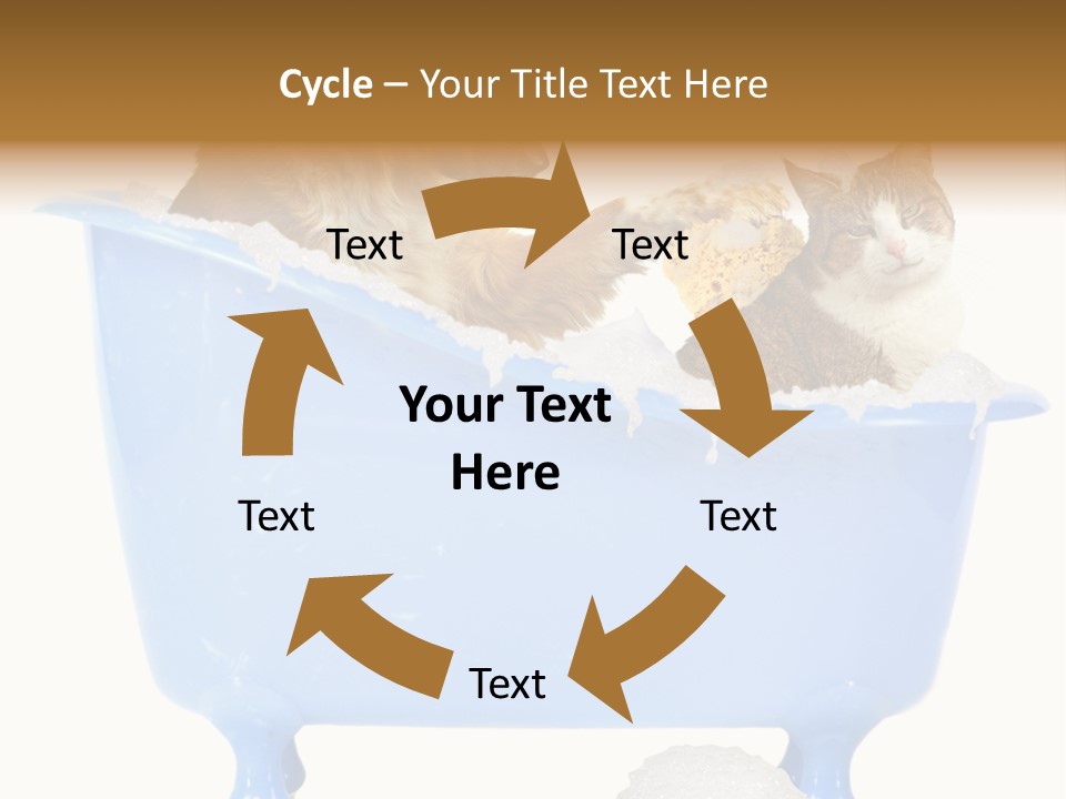 White Background Copy Space Basin PowerPoint Template