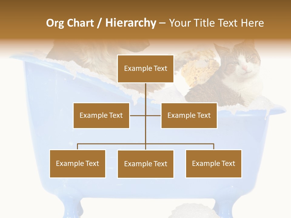 White Background Copy Space Basin PowerPoint Template