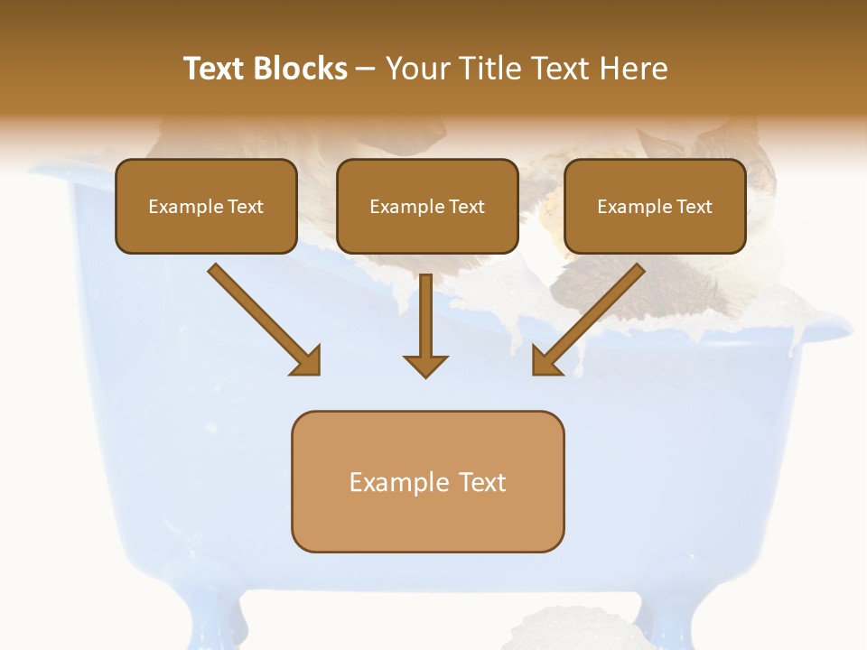 White Background Copy Space Basin PowerPoint Template