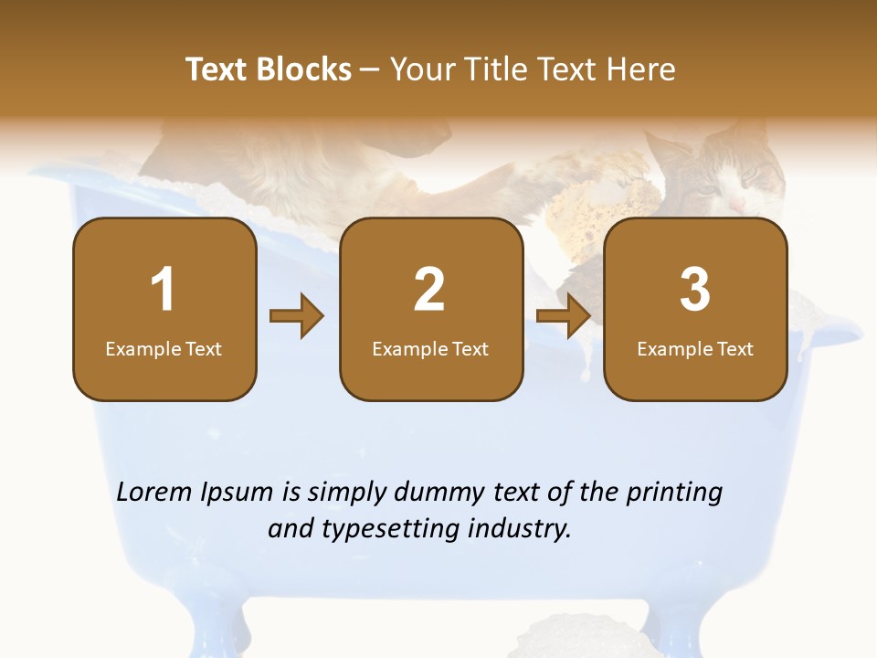 White Background Copy Space Basin PowerPoint Template