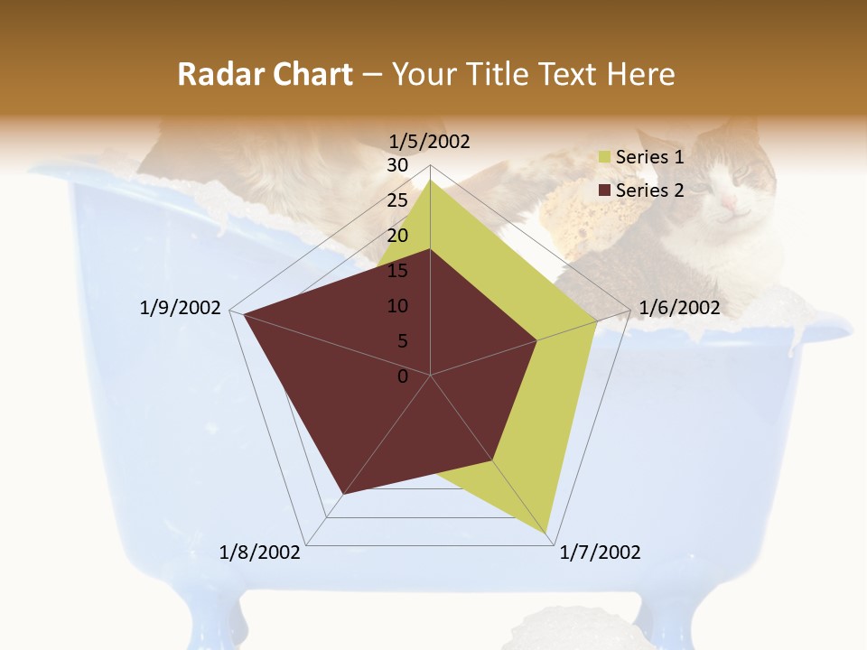 White Background Copy Space Basin PowerPoint Template