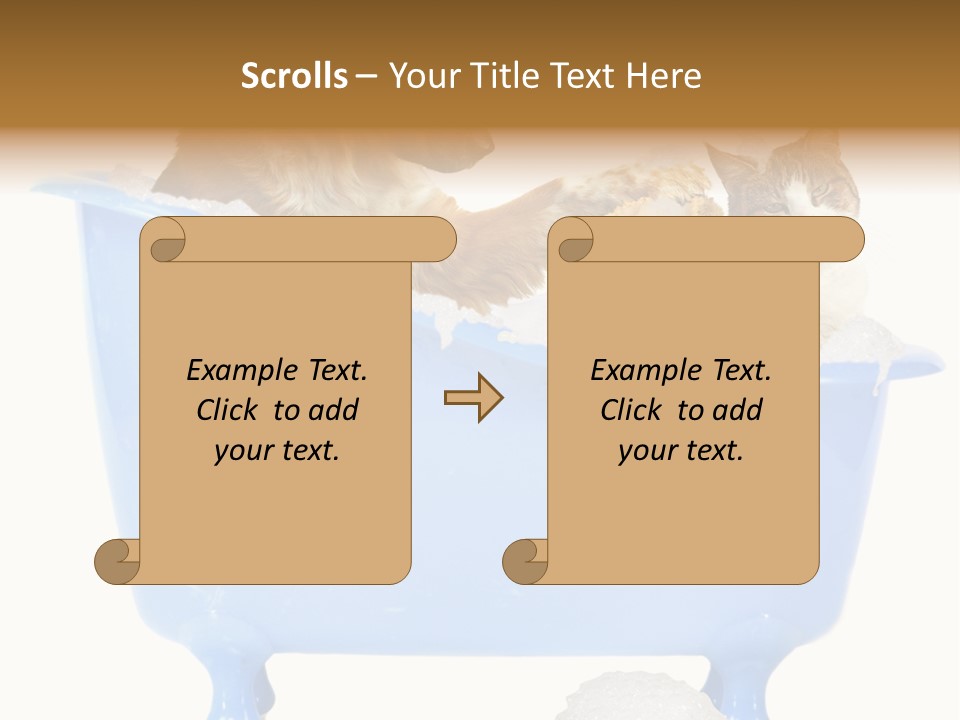 White Background Copy Space Basin PowerPoint Template