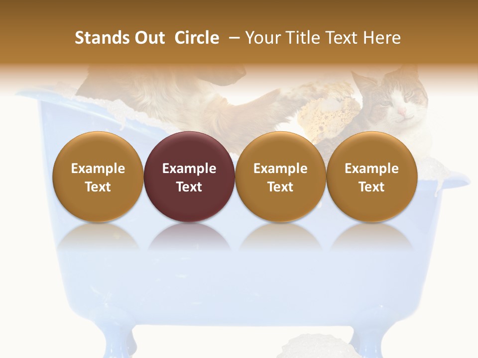 White Background Copy Space Basin PowerPoint Template