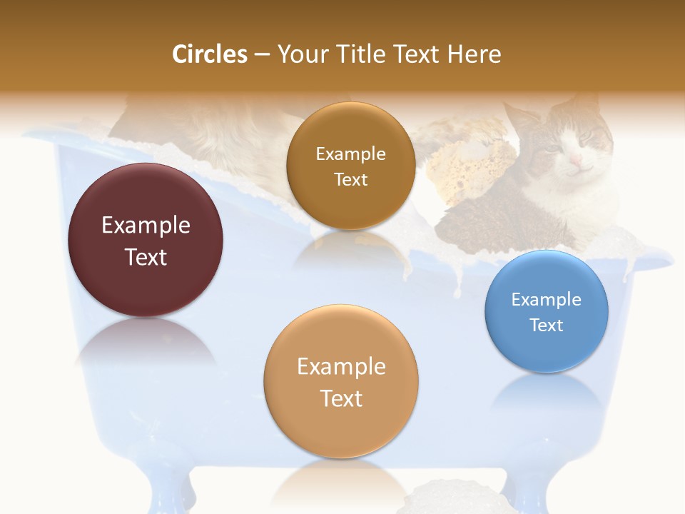 White Background Copy Space Basin PowerPoint Template