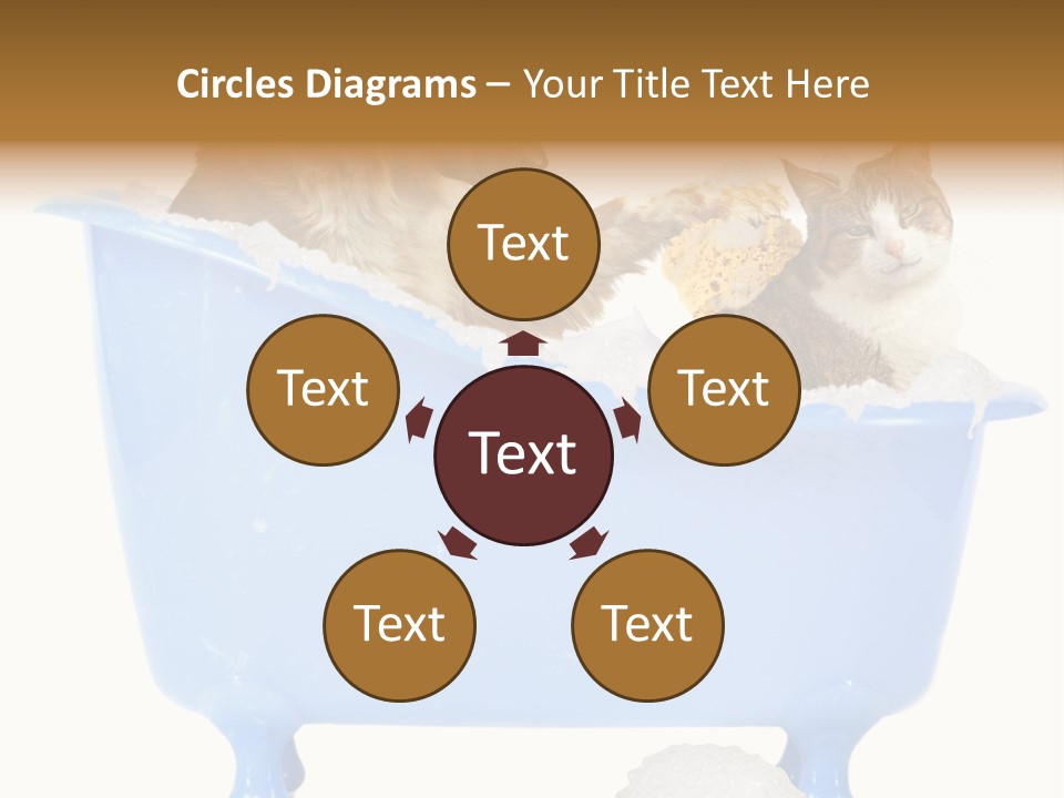 White Background Copy Space Basin PowerPoint Template