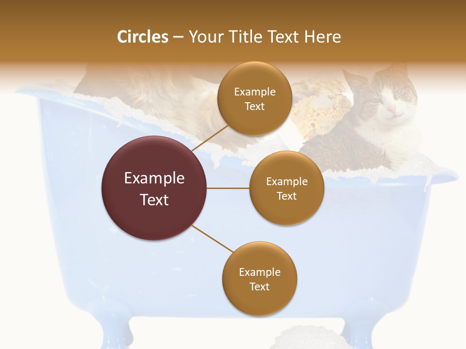 White Background Copy Space Basin PowerPoint Template