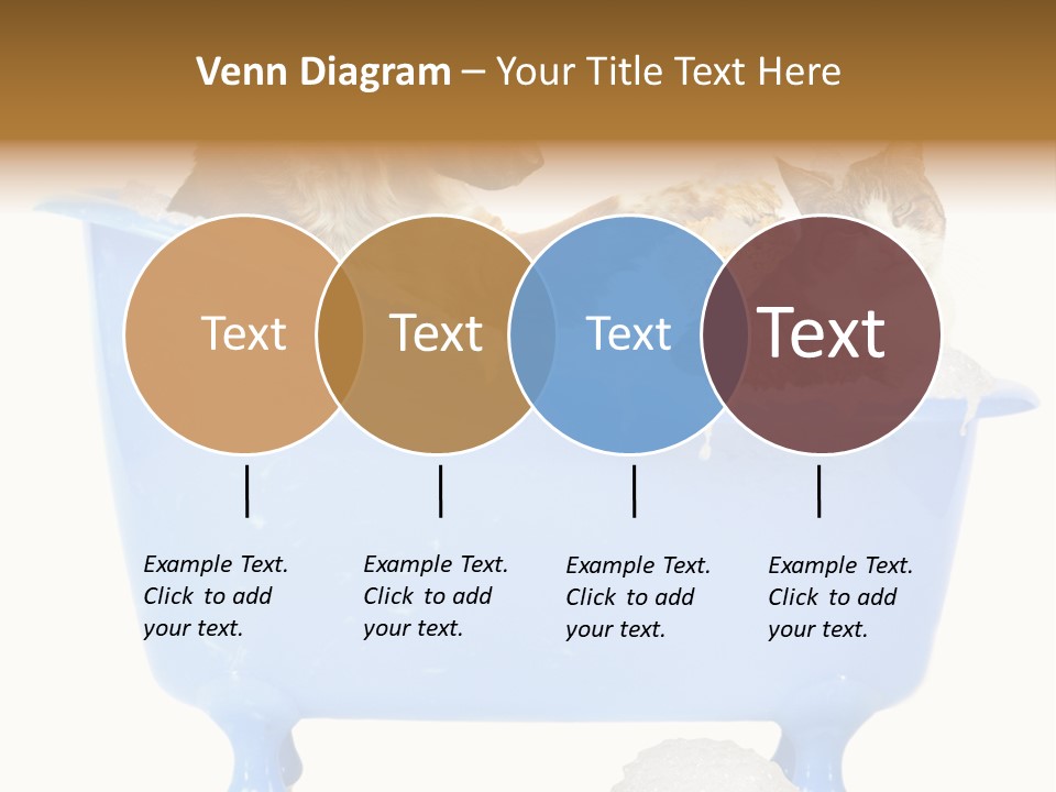 White Background Copy Space Basin PowerPoint Template