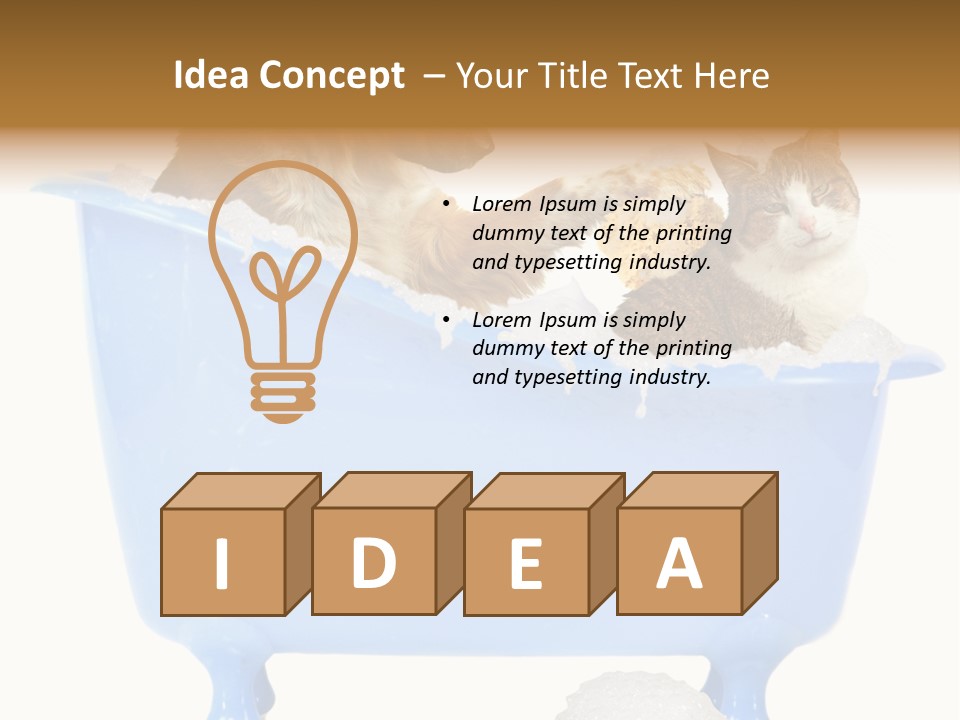 White Background Copy Space Basin PowerPoint Template