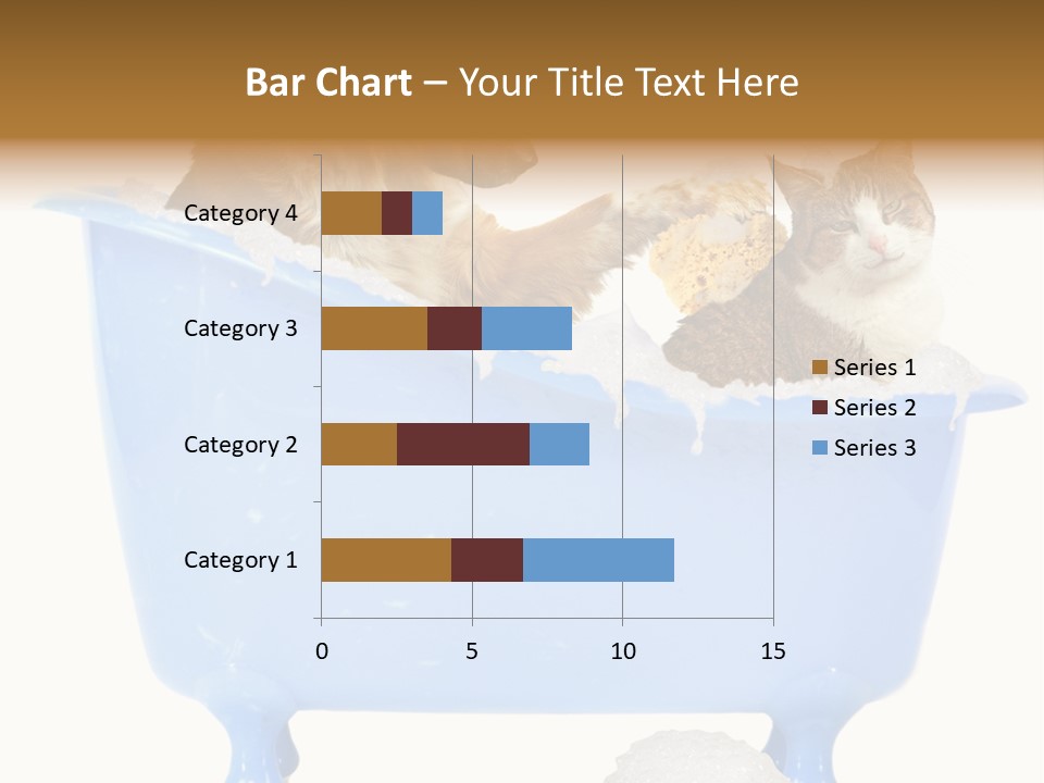 White Background Copy Space Basin PowerPoint Template