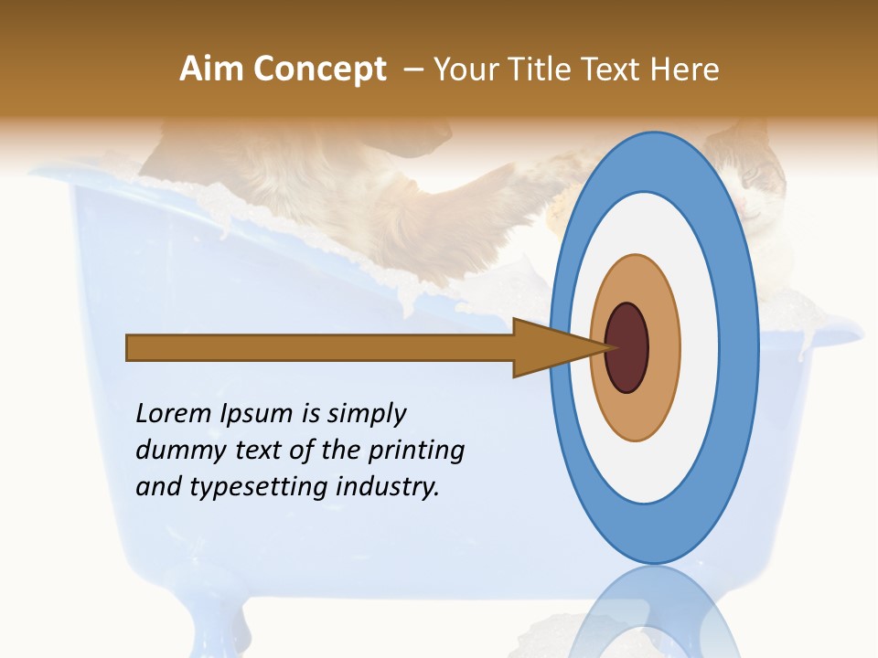 White Background Copy Space Basin PowerPoint Template