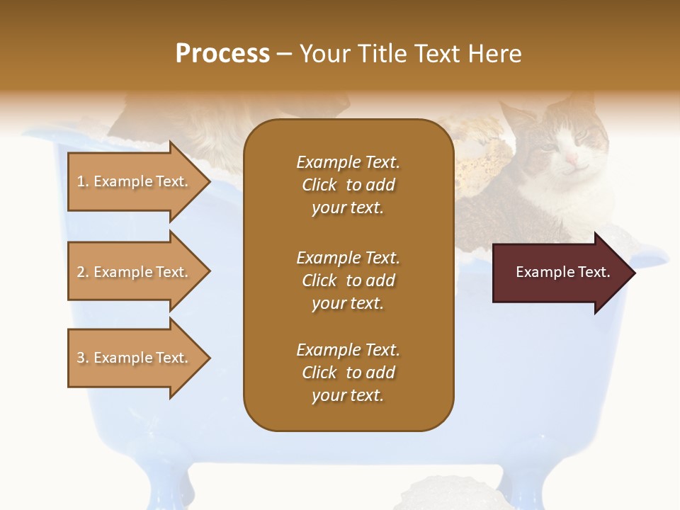 White Background Copy Space Basin PowerPoint Template