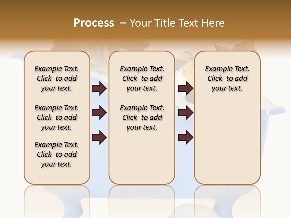 White Background Copy Space Basin PowerPoint Template