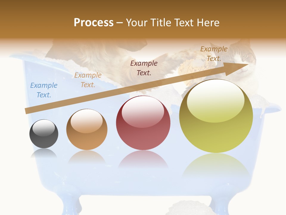 White Background Copy Space Basin PowerPoint Template