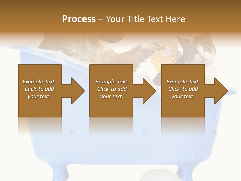 White Background Copy Space Basin PowerPoint Template