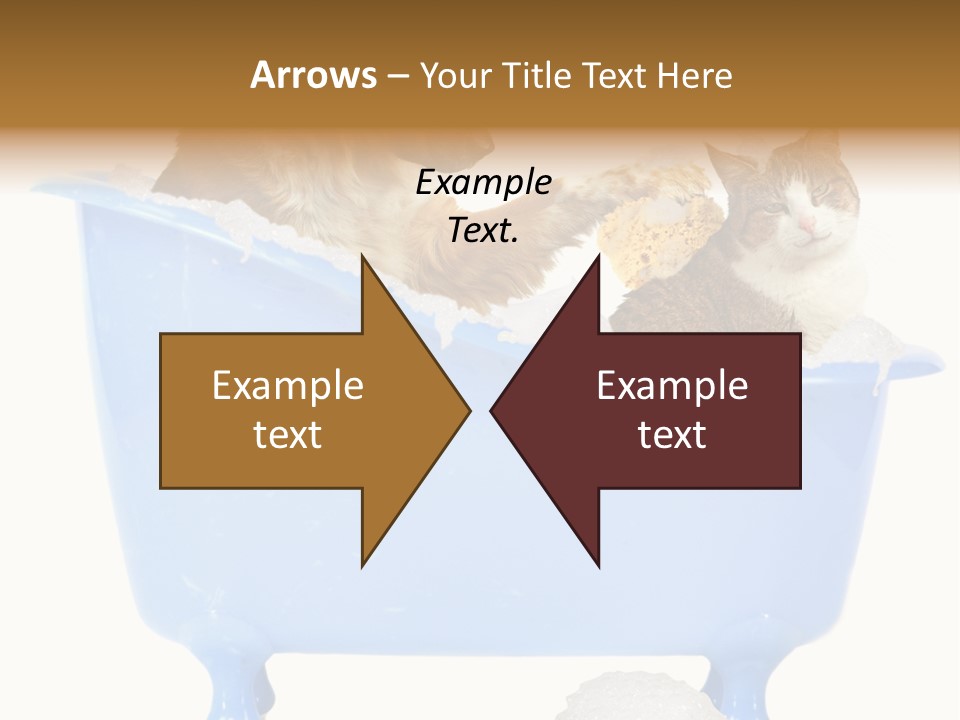 White Background Copy Space Basin PowerPoint Template