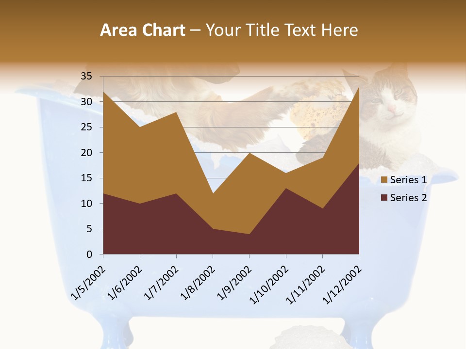 White Background Copy Space Basin PowerPoint Template