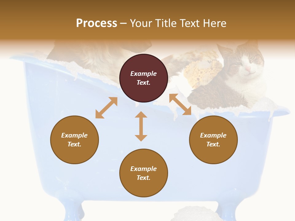 White Background Copy Space Basin PowerPoint Template