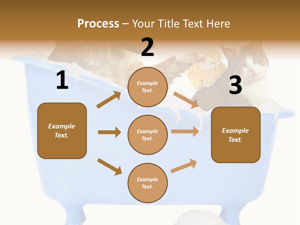 White Background Copy Space Basin PowerPoint Template