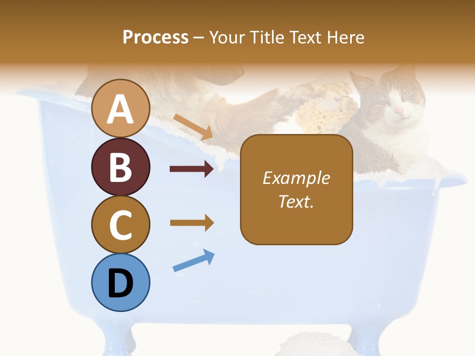 White Background Copy Space Basin PowerPoint Template