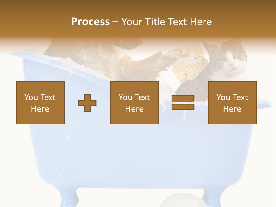 White Background Copy Space Basin PowerPoint Template