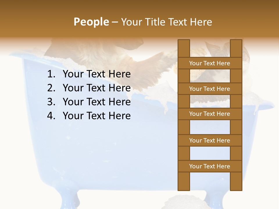 White Background Copy Space Basin PowerPoint Template