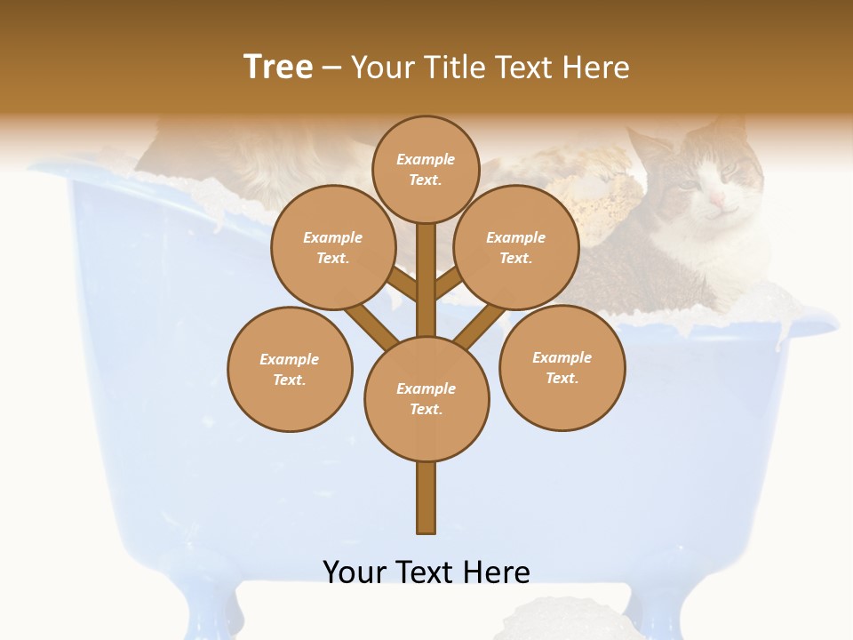 White Background Copy Space Basin PowerPoint Template