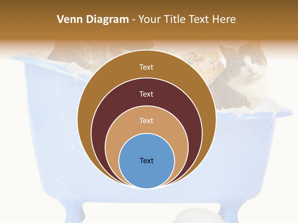 White Background Copy Space Basin PowerPoint Template
