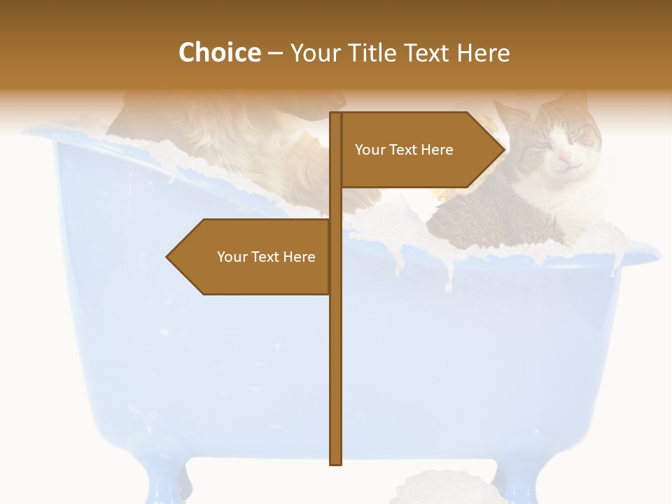 White Background Copy Space Basin PowerPoint Template