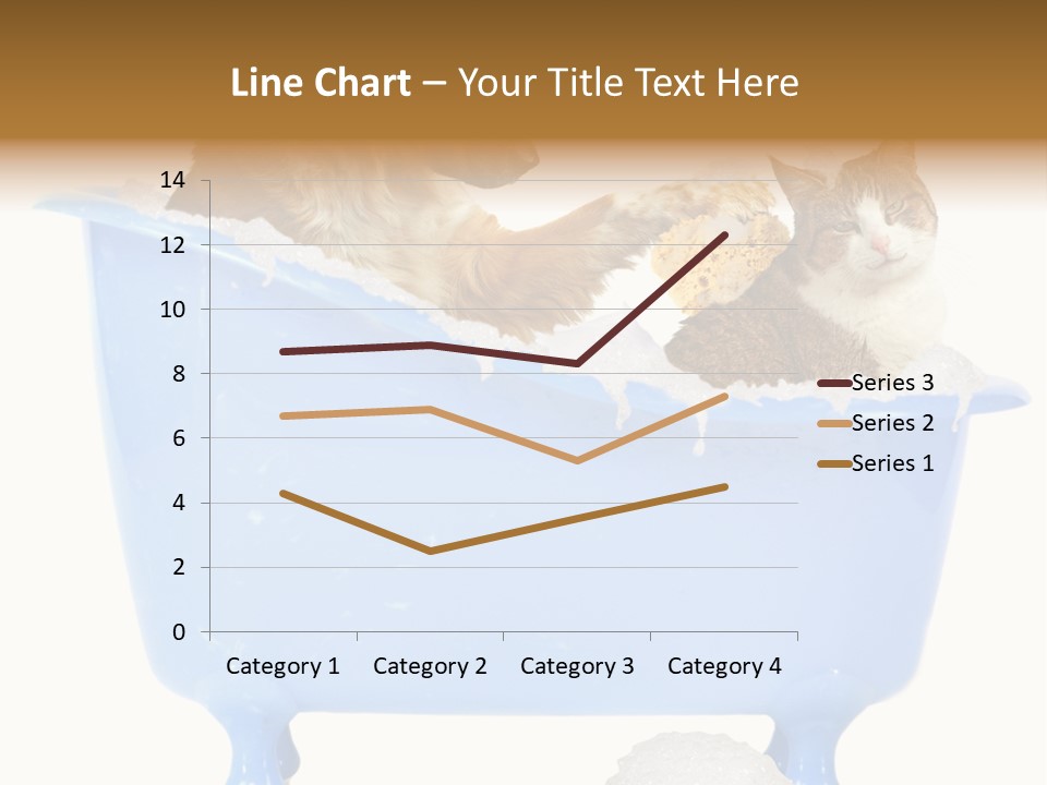 White Background Copy Space Basin PowerPoint Template