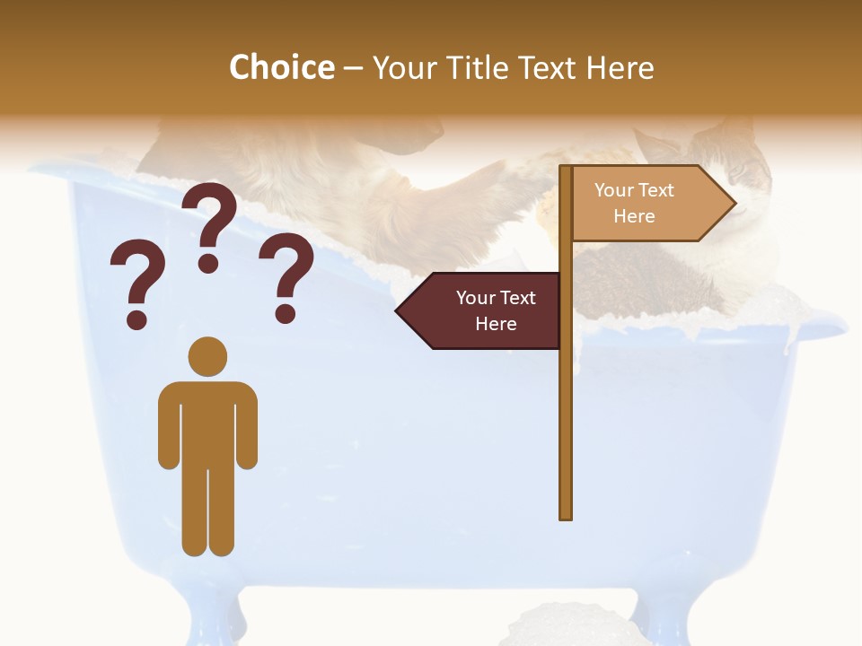 White Background Copy Space Basin PowerPoint Template