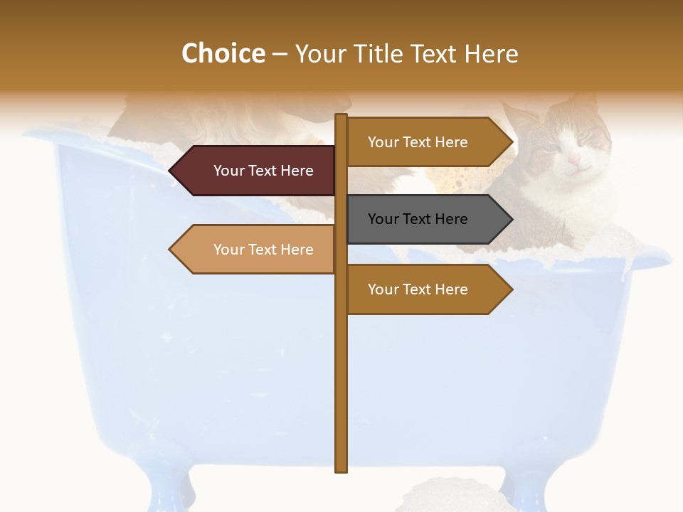 White Background Copy Space Basin PowerPoint Template