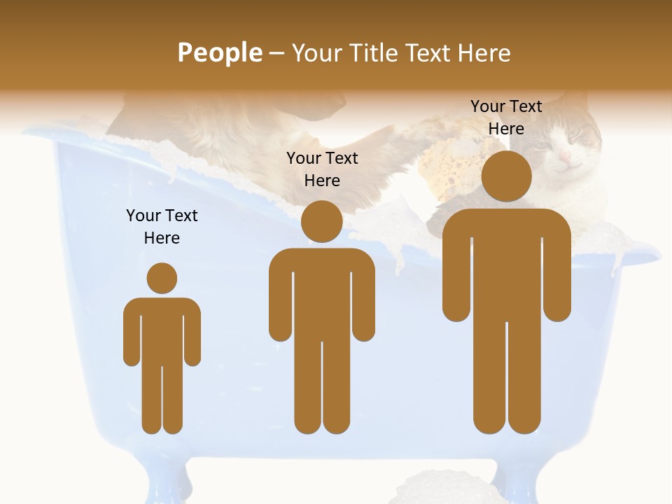 White Background Copy Space Basin PowerPoint Template