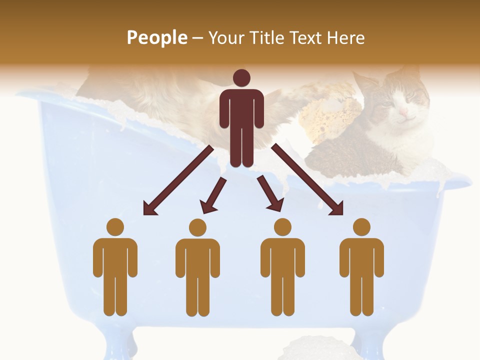 White Background Copy Space Basin PowerPoint Template