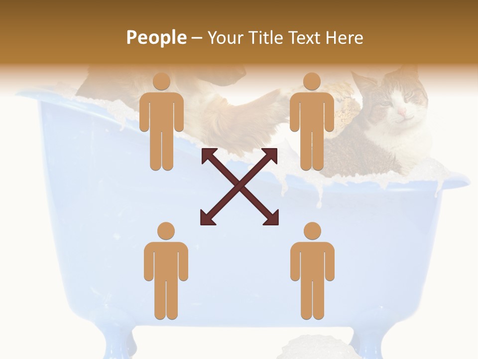 White Background Copy Space Basin PowerPoint Template