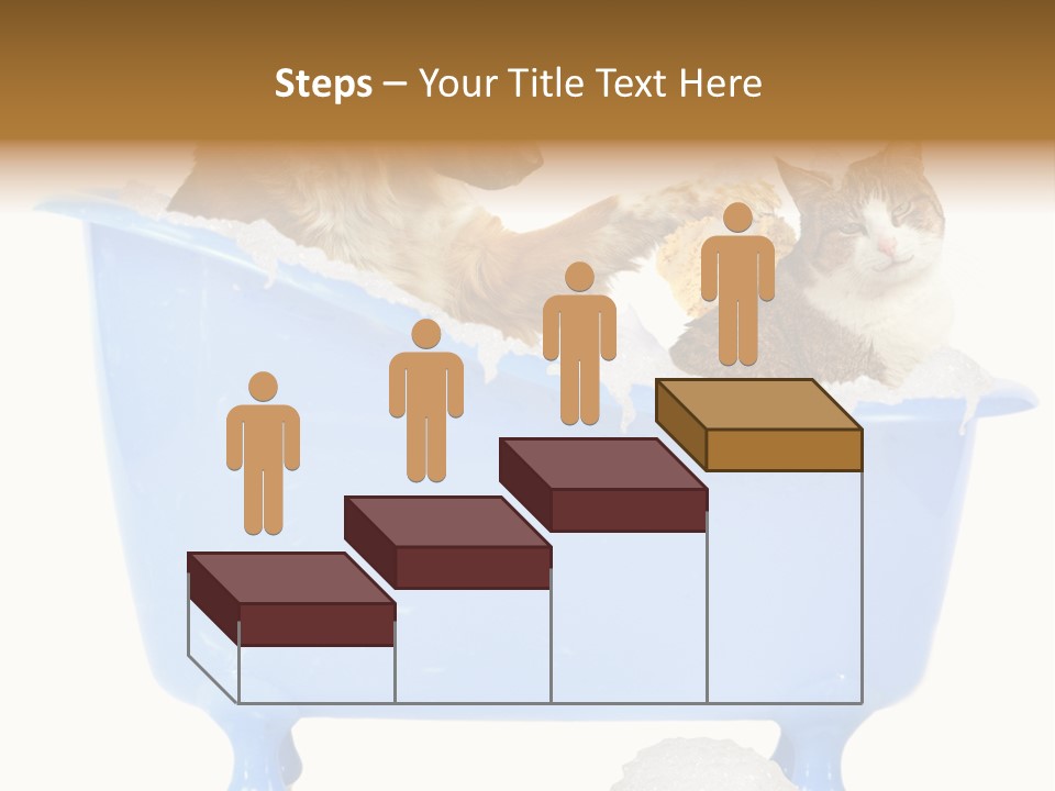 White Background Copy Space Basin PowerPoint Template