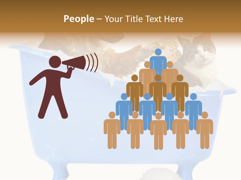 White Background Copy Space Basin PowerPoint Template