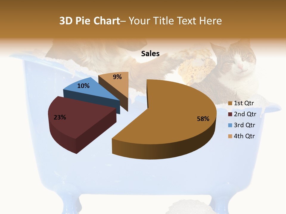 White Background Copy Space Basin PowerPoint Template