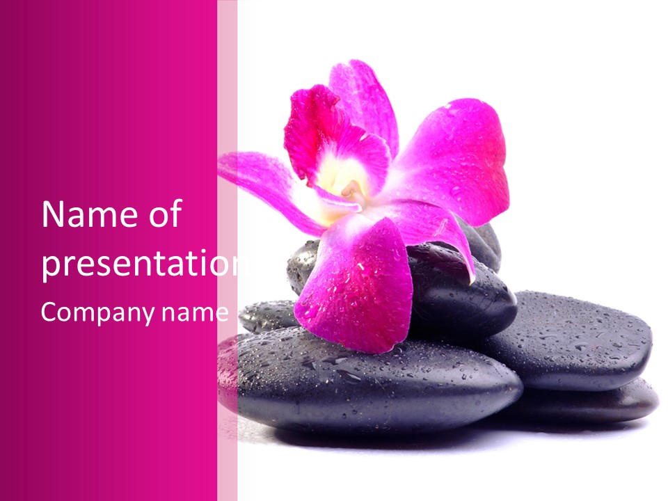 A Pink Flower Sitting On Top Of Black Rocks PowerPoint Template
