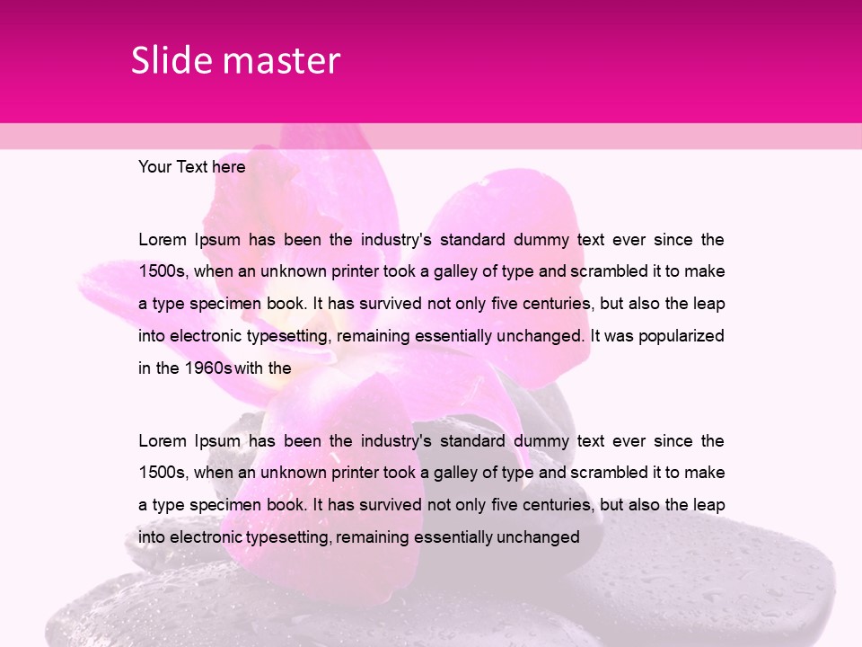 A Pink Flower Sitting On Top Of Black Rocks PowerPoint Template