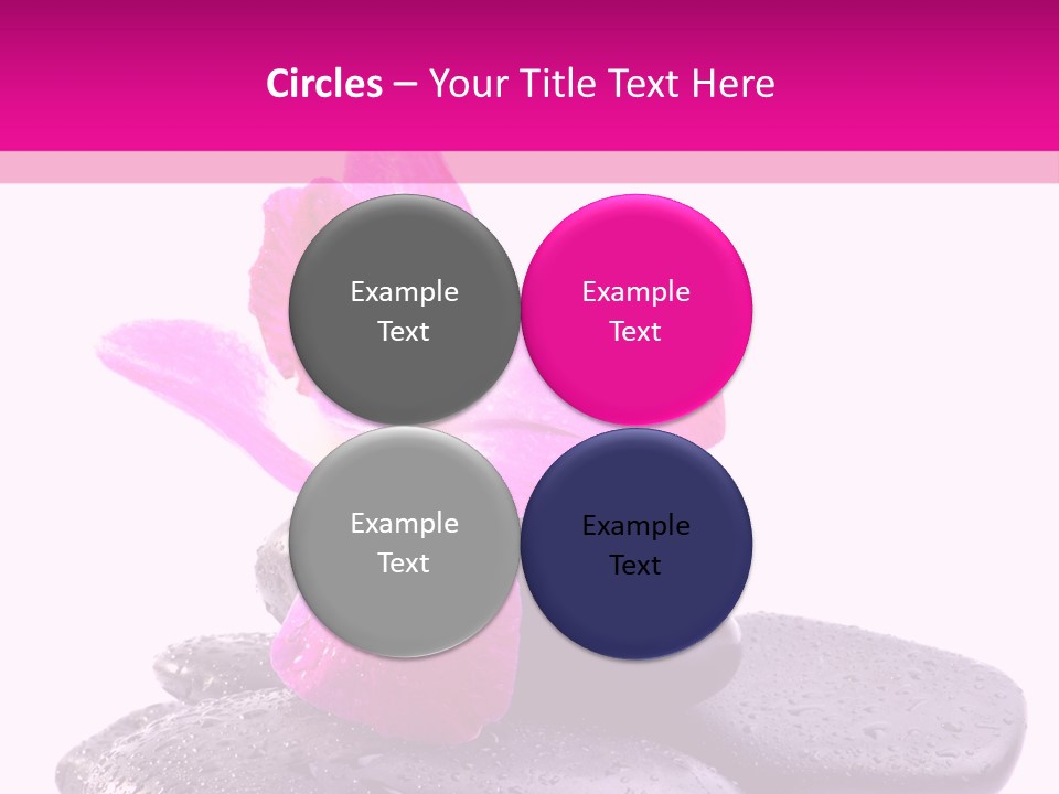 A Pink Flower Sitting On Top Of Black Rocks PowerPoint Template